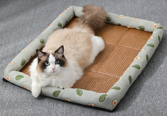 Cat lying on self-cooling pet mat with rattan base and padded avocado-print border, ideal for summer comfort